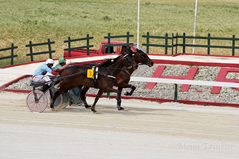 2015_Race 4 - 08.JPG